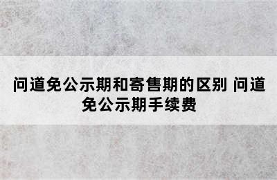 问道免公示期和寄售期的区别 问道免公示期手续费